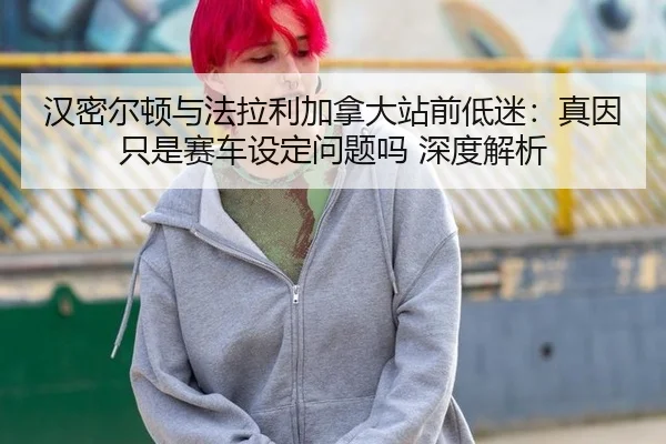han-mi-er-dun-yu-fa-la-li-jia-na-da-zhan-qian-di-mi-zhen-yin-zhi-shi-sai-che-she-ding-wen-ti-ma-shen-du-jie-xi-2-727.jpg